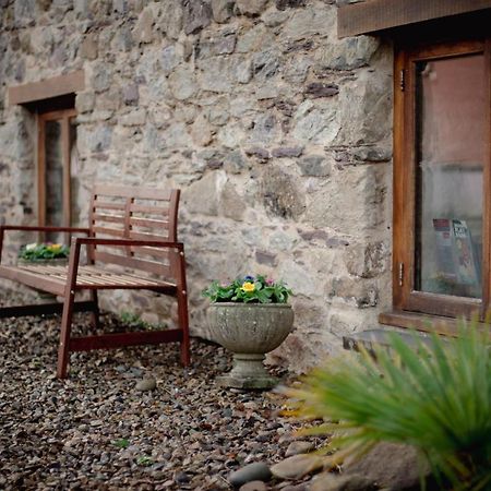 Stunning Converted Granary In Heart Of St Davids Lägenhet Exteriör bild